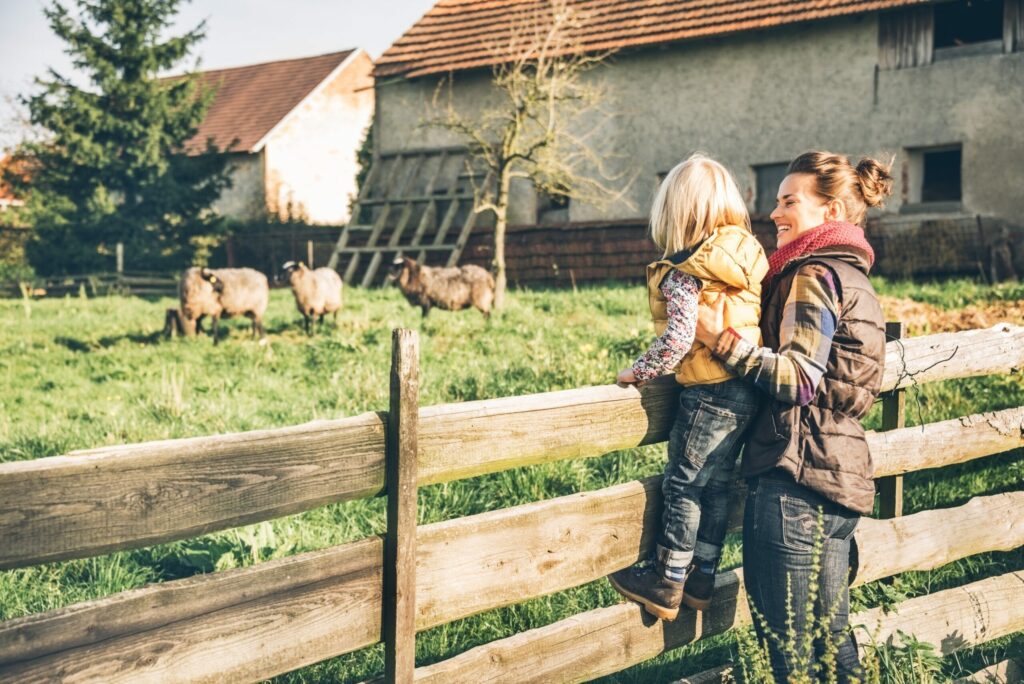 A woman and a child stand by a wooden fence on a farm, watching sheep graze on a grassy field. The woman is holding the child, who is wearing a yellow vest. A farmhouse with a tiled roof and a tree are visible in the background—perfect for fall family-friendly activities.