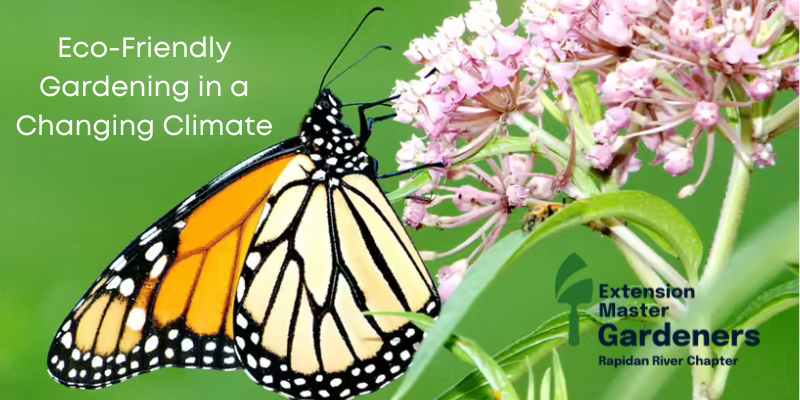 A monarch butterfly feeds on a pink flower, accompanied by the text &quot;Eco-Friendly Gardening in a Changing Climate&quot; and the logo of the Extension Master Gardeners Rapidian River Chapter.