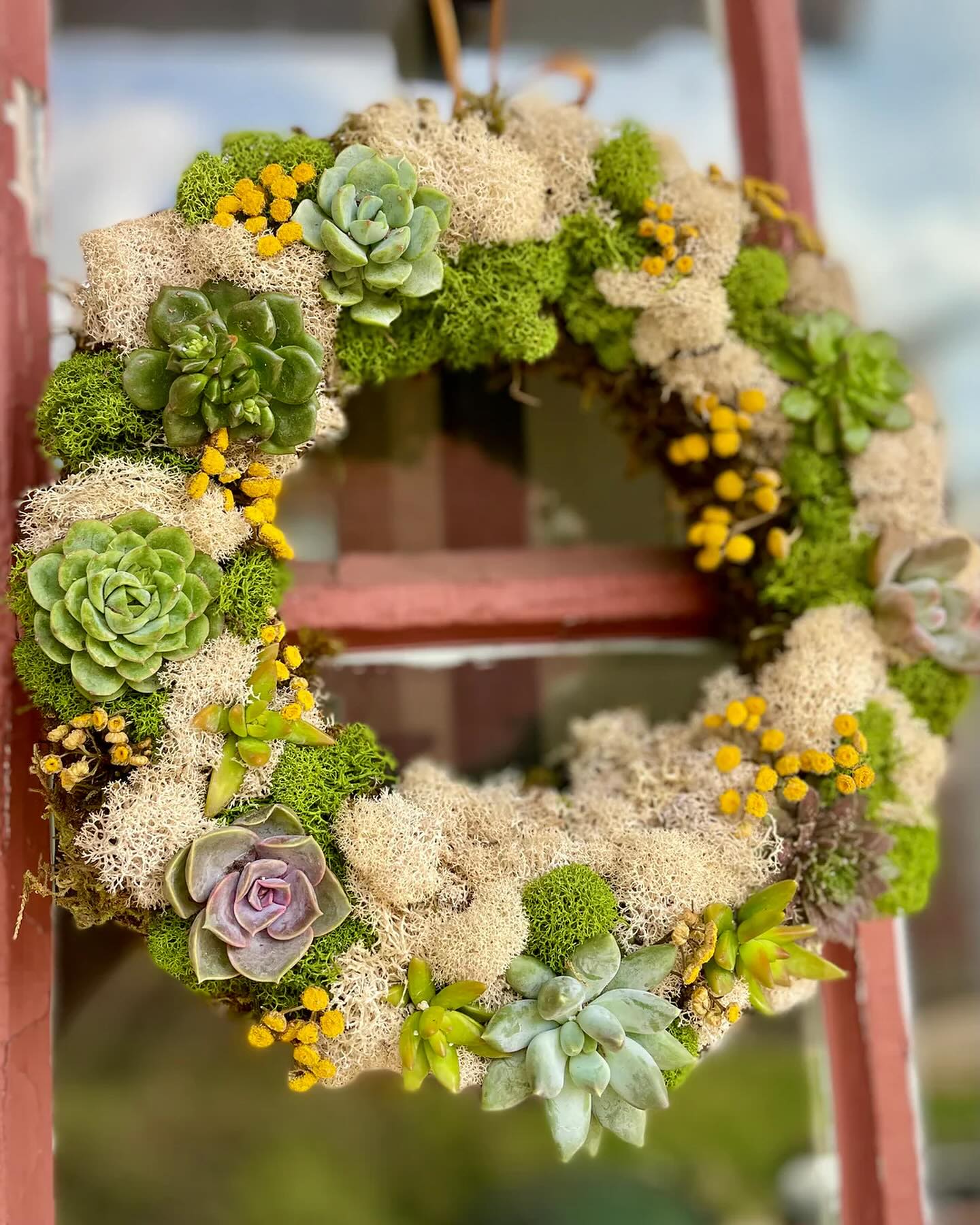 A vibrant wreath composed of various succulents, green moss, and clusters of small yellow flowers hangs on a red ladder. The arrangement creates a lush, textured display with a mix of colors and natural elements.