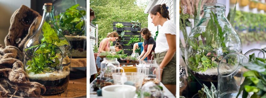 people making terrariums