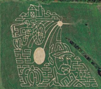 corn maze